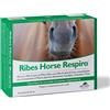 NBF Lanes Horse NBF Lanes Ribes Horse Respiro 10 buste integratore per cavalli