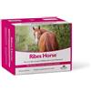 NBF Lanes Horse NBF Lanes Ribes Horse integratore per cavalli