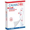 Calmadol Cerotto Arnica E Artiglio Del Diavolo Per Dolori Articolari E Muscolari 6 Pezzi