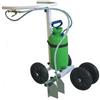 (03) CARRELLO SEGNACAMPO A VERNICE ECOLOGICA MANUALE 10 LT TRACC. REGOLABILE