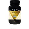 ILLUMINESCIENCE Srl Solbyos Einsof 150g