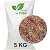 DTP-SOFT Mangime per uccelli da 5 kg, ottimo prezzo, miscela per uccelli per 4 stagioni TOP (5 kg)