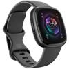 Fitbit Sense 2 Shadow grigio / Graffite