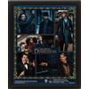 Pyramid International Poster 3D Fantastic Beasts The Secrets of Silente 25 cm x 20 cm x 1,3 cm, con cornice