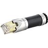 FURUTECH NCF CLEAR LINE-LAN FILTRO DI SEGNALE DIGITALE ETHERNET LAN RJ45 NUOVO