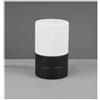 TRIO LIGHTING ARY LAMPADA DA TAVOLO NERA O NICHEL CON CILINDRO IN VETRO BIANCO TOUCH ALTEZZA CM 15 MODERNA