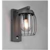 TRIO LIGHTING TUELA APPLIQUE DA ESTERNI IP44 ANTRACITE CON GABBIA E DIFFUSORE OPALE SENSORE MOVIMENTO