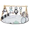 Tiny Love - Palestrina Luxe Gymini Black & White Decor