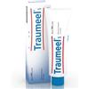 Guna spa Traumeel S Crema 100G