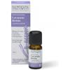 Nasoterapia Lavanda Ibrida Olio Essenziale Biologico 100% Puro Naturale 10 ml