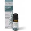 Nasoterapia Olio Essenziale Eucalipto Globulus Biologico 100% Puro e Naturale 10 ml
