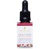 potentilla - Olio Viso alla Rosa Canina