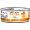 Disugual Diet Cat Metabolic Balance Intestinal Lattina 85G TACCHINO