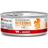 Disugual Diet Cat Metabolic Balance Intestinal Lattina 85G MANZO