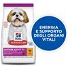 Hill's Science Plan per Cane Small & Miniature Mature Adult 7+ da 1,5 Kg