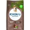 Forza10 Medium Adult Maintenance Agnello AGNELLO
