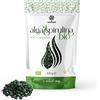 ERBOTECH Spirulina BIO in Compresse, Confezione da 100g, circa 400 Capsule, Alga 100% Biologica, Pura e Vegana, Fonte di Energia, Ricca di Proteine, Vitamine, Magnesio