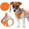 heavenlife Imbracatura per Gatti, Pettorina per Cani Piccola Taglia Riflettente, Set di Pettorina e Guinzaglio Regolabile 1,5m, Pettorina in Maglia Traspirante per Cuccioli (Arancione, 3XS)