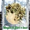 Kit Magia di Fiori e Luce