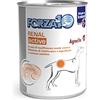 SANYPET UMIDO PER CANI FORZA10 RENAL ACTIVE 390 GR AGNELLO
