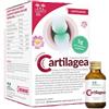 Salugea Cartilagea salugea 18 flaconcini da 12 ml