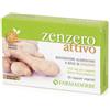 FARMADERBE SRL Farmaderbe Zenzero 30 Capsule