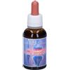 Aurum Ami Remedy Gocce 30 Ml ml orali