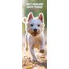 Magnet & Steel West Highland White - Calendario 2025, sottile, colore: Bianco