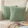 Mandioo 2 Pezzi Federe Cuscini Elegante Decorativi Copricuscini Boho Super Morbido Peluche Moderne velluto Divano Soggiorno Lusso Stile Camera da Letto 40 x 40 cm Verde salvia