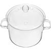 OUNONA Pentola Borosilicato Con Coperchio Pentola Per Zuppa E Pasta Trasparente Doppio Manico Ergonomico Per Cottura Di Alimenti
