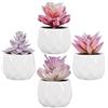 Zalava Set di 4 Piante Artificiali Succulenti in Vasi Mini Piante Grasse Finte da Interno per Decorazione Casa Ufficio Scrivania Tavolo Cucina Balcone Matrimonio Bagno di Casa, Viola