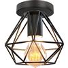 iDEGU Lampada da soffitto industriale E27 Lampadario da soffitto in ferro vintage, lampada a sospensione a gabbia, diametro 16 cm, illuminazione da soffitto per soggiorno, camera da letto, cucina,