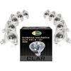 CLAR - Lampadina alogena a LED da 12 V, luce bianca calda, 35 mm, lampadina da 20 W, MR11 12 V, GU4 alogena da 20 W (confezione da 10)