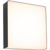 Paulmann 94840 Lampada pareti Esterne LED Azalena rilevatore di Movimento con sensore ad Alta frequenza IP44 250x97mm 3000K 8,5W 700lm 230V Antracite 8.5 W