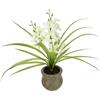 Flair Flower Fiore artificiale farfalla orchidea con vaso in ceramica, 39 cm, con foglie e radici aeree, orchidea artificiale Phalaenopsis, pianta artificiale per matrimonio, fiore di seta, colore bianco