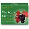 Erbamea Vite rossa gambe tisana biologica