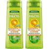 Garnier Fructis Shampoo Lisciante, Per Capelli Crespi, Effetto Luminoso, Con Olio di Argan e Cheratina Vegetale, Hydra Liss & Shine, 250 ml (Confezione da 2)