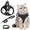 XWCHASA Pettorina Gatto Antifuga con Guinzaglio, Traspirante Pettorina con Collarino Gatto, Pettorina per Cani Taglia Piccola (M)