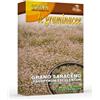 PERAGA GARDEN SEMENTI GRANO SARACENO 100 GR FRANCHI SEMENTI ORTO