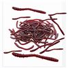 Senven artificiale earthworm, Biomimetic Morbido Silicone Earthworm Esche Worm Esche da Pesca Simulazione Red Worms plastica Verde Ambiente Strong Tentazione Esca Finta Red Worm - L tipo-150Pcs