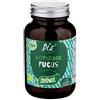 Santiveri ALGA FUCUS 113 COMPRESSE BIO