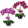 PASCH® Set di 2 Orchidee Artificiali in Vasi di Ceramica Lucida (40 cm), Fiori Artificiali Come Veri