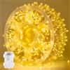 GlobaLink 1000LEDs Luci Natale Esterno,GlobaLink Catena Luminosa 25M Luci Albero Natale IP44 Impermeabile,8 Modalità Luce,Funzione Memoria Calda Decorazione Natalizia per Casa Interno Giardino Matrimonio Feste