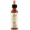 Schwabe Pharma Italia Srl Fiori di Bach N. 18 Impatiens flacone da 20ml