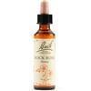 Schwabe Pharma Italia Srl Fiori di Bach N. 26 Rock Rose flacone da 20ml