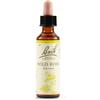 Schwabe Pharma Italia Srl Fiori di Bach N. 37 Wild Rose flacone da 20ml