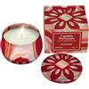 E.FA.S. SpA COLORS CANDELA ROXANNE 120g