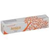 Cemon Srl Arnica Crema Gel 60Ml Cemon