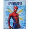 Viterbo Biancheria Trapunta Piumone Invernale Bimbo Bimba Personaggi Per Letto Singolo Kuveè (7025) (Spiderman)