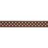American Crafts INNSPIRO Nastro Dollar Ribbon Brown whit White Dots 0,95 cm x 1,22 m.